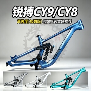锐搏CY9桶轴DH速降AM林道enduro山地车车架WINBO软尾车架刷楼梯