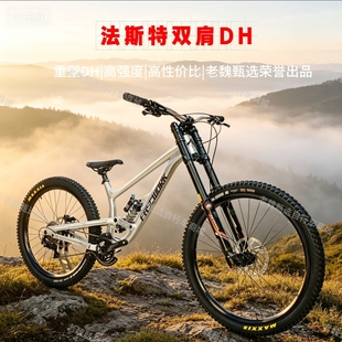 新款FASTWORK法斯特DH自行车高强度速降山地车速降车/法斯特f200