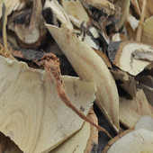 中药材 500克23元 胡颓子根 胡秃子根 贯榨根 叶刺头 包邮