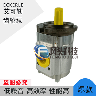 ECKERLE弘讯艾可勒齿轮泵890 0250 FK2 S201海天注塑机油泵