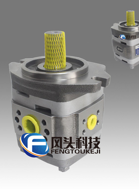 德国福伊特VOITH原装进口IPVAP5-32 101高压内啮合齿轮泵液压油泵