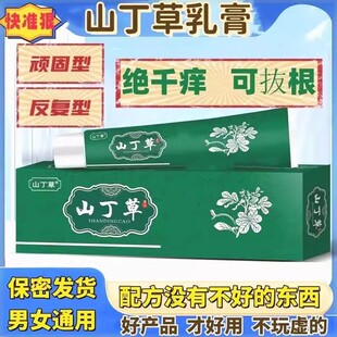 【抖店同款】 山丁草软膏快速涂抹 肤宁皮康草本清肤品牌正品直发