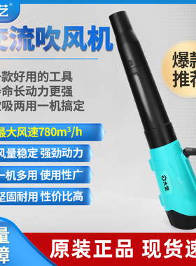 大艺大功率吹风机除尘暴风机大风强力鼓风机可调速吹雪灰PBL3203