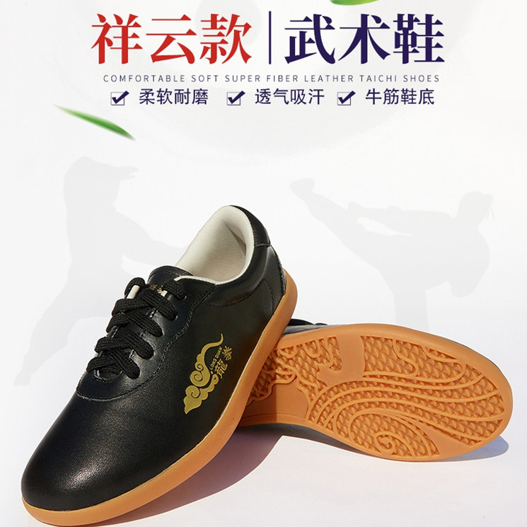 龙拳男女高档头层真牛皮太极拳鞋
