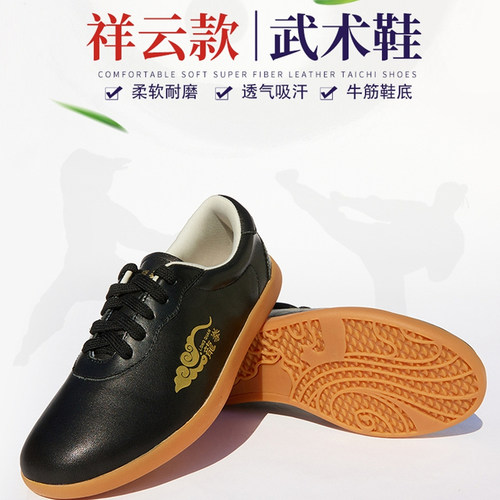 龙拳男女高档头层真牛皮太极拳鞋