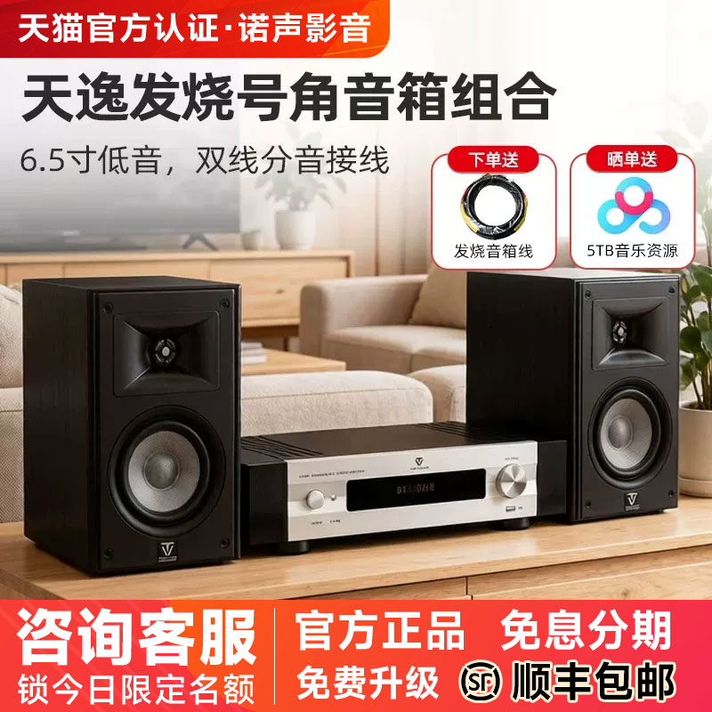 天逸童笛S6发烧级hifi音箱功放套装6.5寸高保真号角音响CD机组合