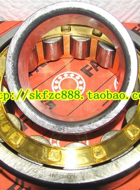 德国FAG轴承进口轴承 NJ2213E.TVP2 65*100*31 NJ2213E.M1