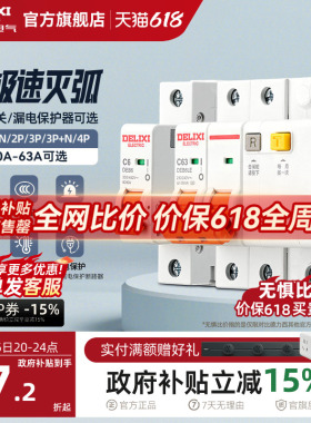 德力西空气开关断路器家用漏电保护器2P63a电闸总空开带漏电保护