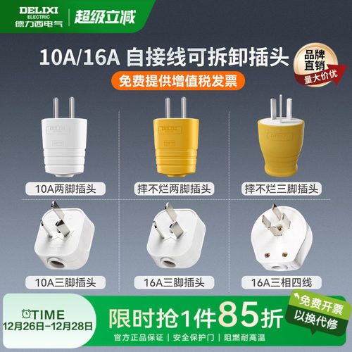德力西插头10啊6a二三脚
