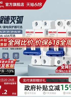 德力西空气开关断路器家用漏电保护器2P63a电闸总空开带漏电保护