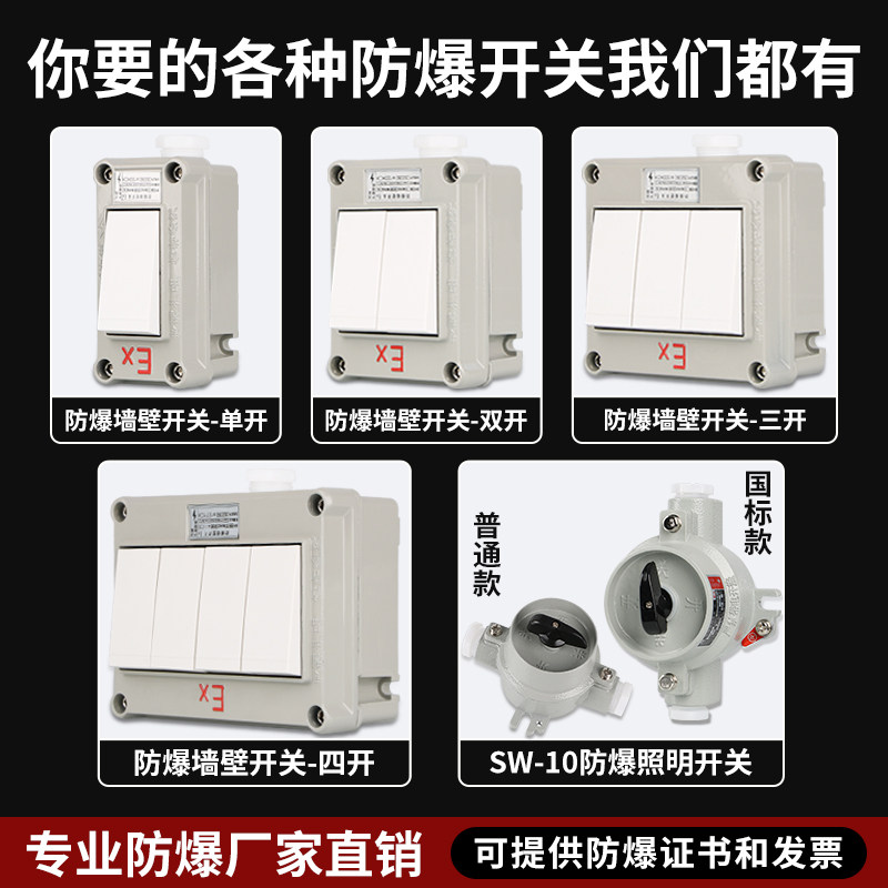 防爆墙壁开关220V10A86型照明开关工业防爆开关单联双控厂房插座