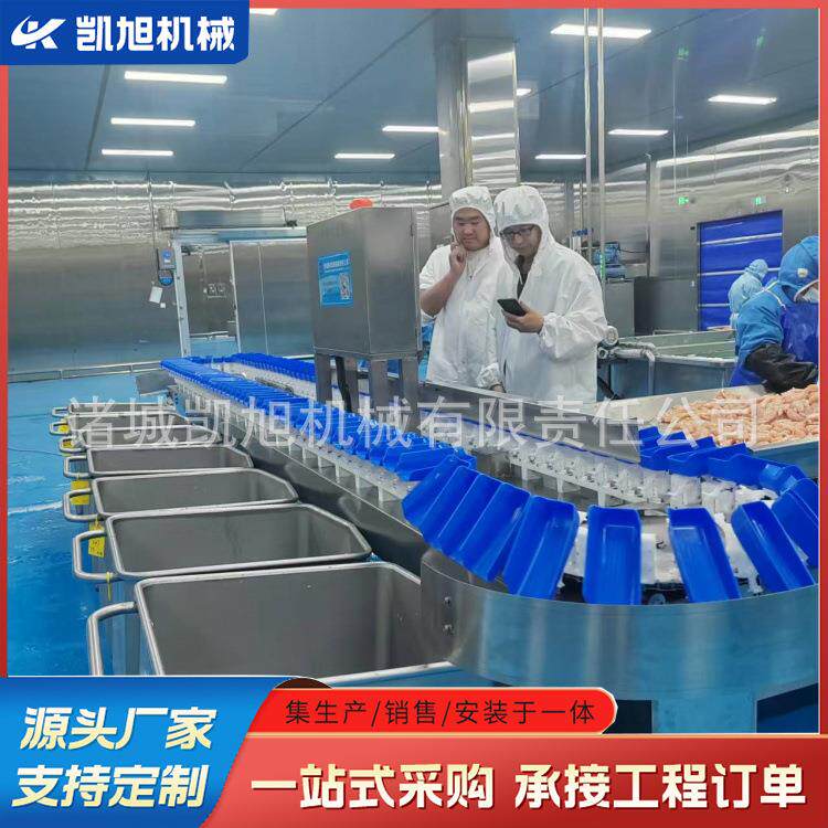 大闸蟹公母检测重量分选机小龙虾自动在线分拣机 制造