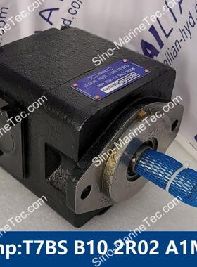 舱盖油泵T7BS B10 2R02 A1MO hydraulic pump for hatch cover