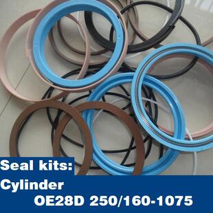 Cylinder for kits 1075液压油缸密封修理包 250 160 OE28D Seal