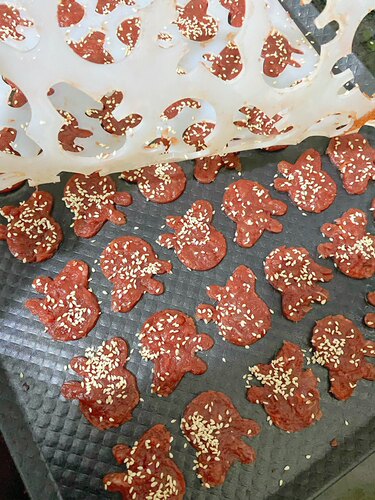 定制肉脯水果片模具悦厨世家硅胶