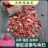 天然红石头鸡血石胭脂石天然五彩石多肉铺面水培造景鱼缸造景
