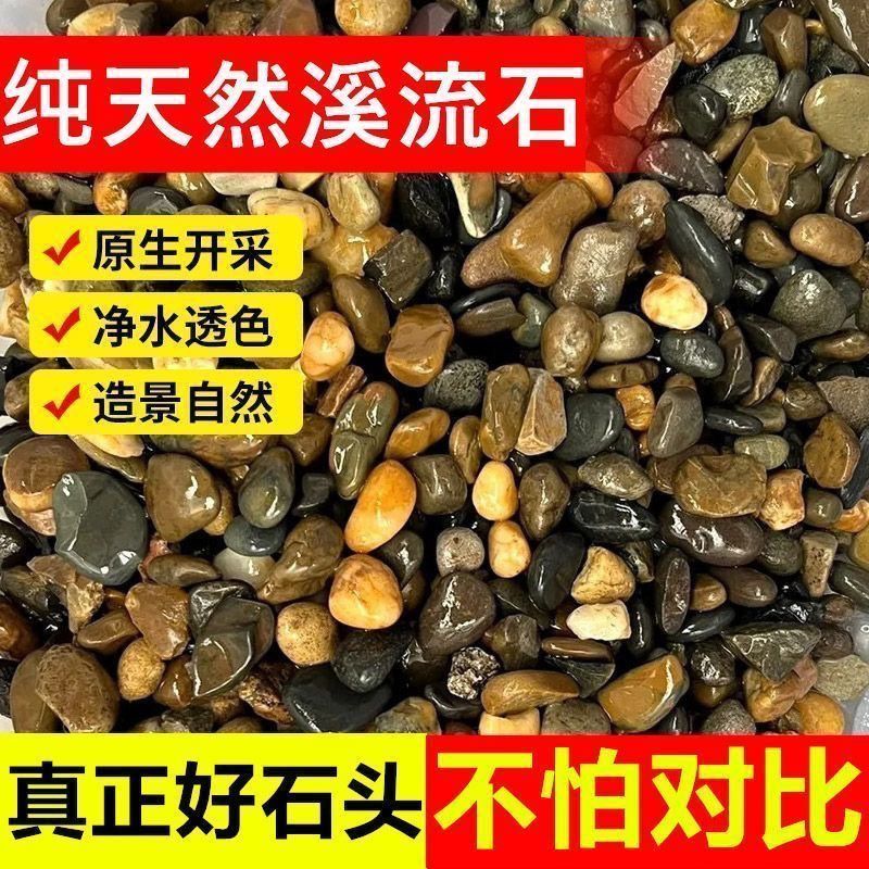 原生溪流石造景鱼缸底砂免洗鹅卵石头纯天然铺底装饰五彩石大石头