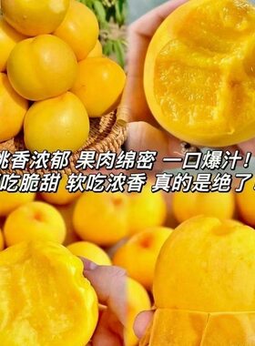 桃蒙阴蜜桃顺丰包邮新鲜桃黄金桃甜蜜桃