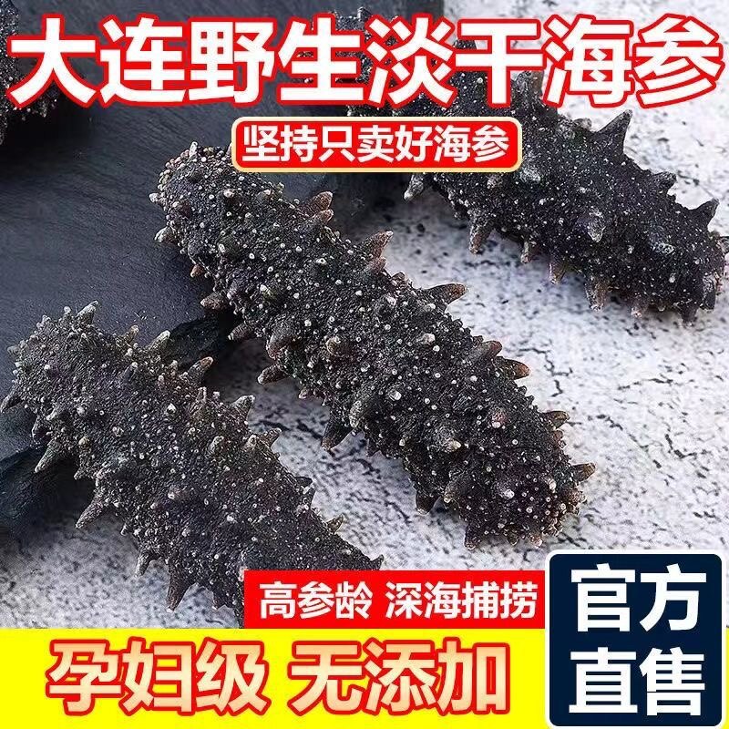 9年大连深海野生淡干海参海参5干品/即食海参