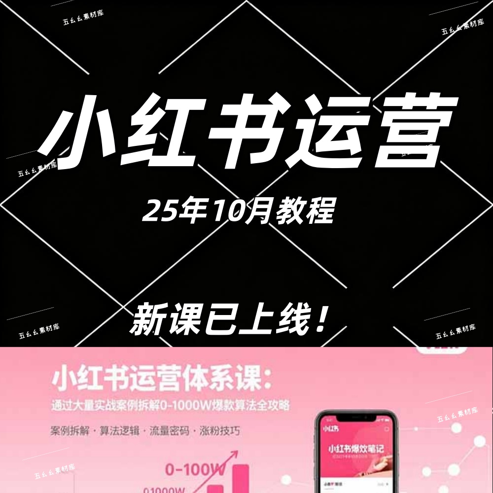 小红薯运营体系课:通过大量实战案例拆解0-1000W爆款算法全攻略