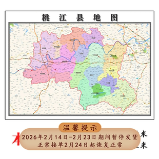 桃江县折叠版地图1.15m湖南省益阳市入户门装饰画客厅墙贴新款