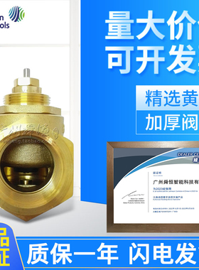VG4400HC-C DN25二通阀 1寸 美国江森电动二通阀阀体