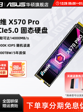 佰维X570 Pro pcie5.0 1/2TB m.2华硕台式机SSD固态硬盘长江存储