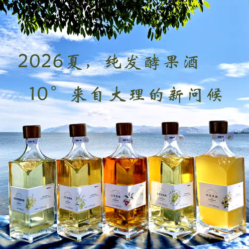 【大理发货】云南特产发酵半生青梅茉莉青提百香果桂花米酒10°新