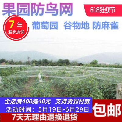 果园防鸟网葡萄大棚保护网家用果树网防鸟用的网鱼塘养殖网农业用
