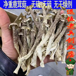 【2025新货】精品鹿茸菇古田特产干货鹿茸菌批发无硫新鲜煲汤包邮
