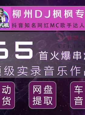 农人柳州DJ枫枫车载音乐打碟网盘