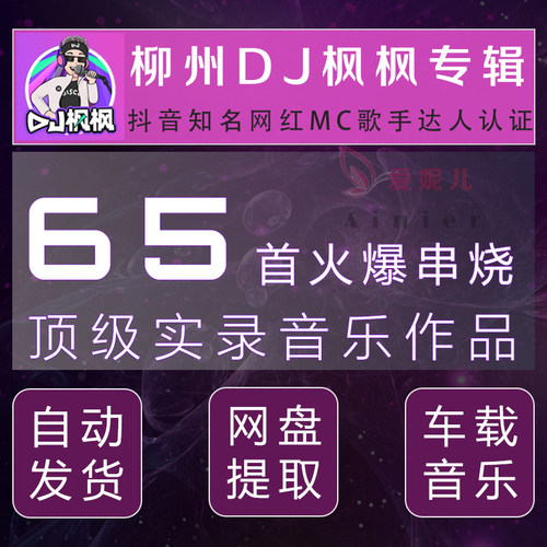 农人柳州DJ枫枫车载音乐打碟网盘