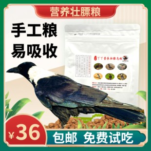 成都丫丫鸦科粮乌鸦饲料八哥鹩哥饲料手工制作升级版