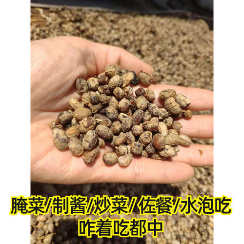 农家干豆豉咸酱豆子臭酱豆