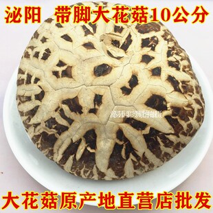 河南特产 泌阳大花菇干货干香菇冬蘑菇肉厚农家一斤500g包邮批