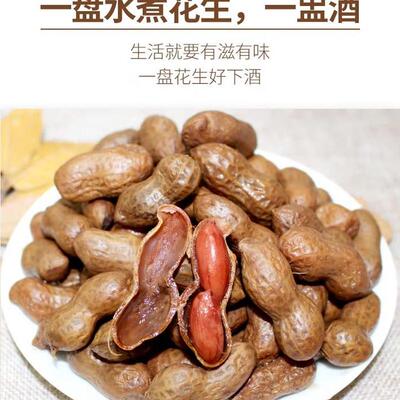 热卖老街东北卤味即食水煮花生