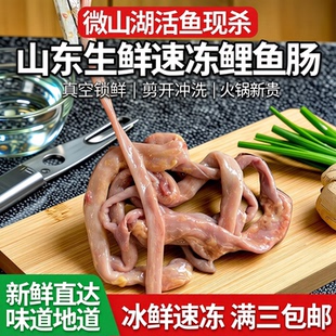 包邮 鲤鱼肠微山湖活鱼现杀冲开清洗山东生鲜速冻冰鲜真空装 满三