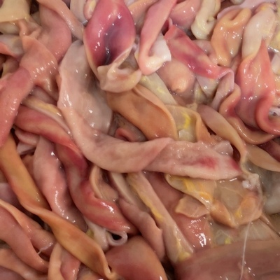 微山湖鲤鱼肠山东现杀生鲜真空装