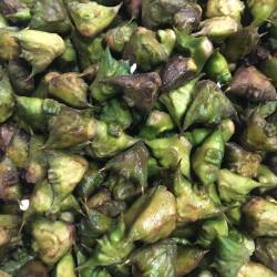 野生小菱角微山湖特产沉水两角老菱角山东水产时令食用杂粮包邮