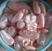 新鲜鲤鱼鲢鱼鳙鱼肚鱼泡鱼鳔微山湖淡水鲜活鱼杂水产生鲜满三 包邮