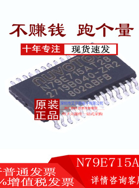 原装正品 N79E715AT28 TSSOP-28 嵌入式微控制器 新唐单片机