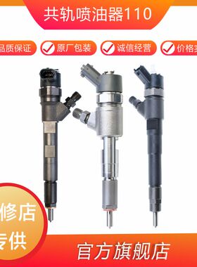 喷油嘴总成0445110315 柴油发动机油头喷射器电控配件 ZYJGA24S28