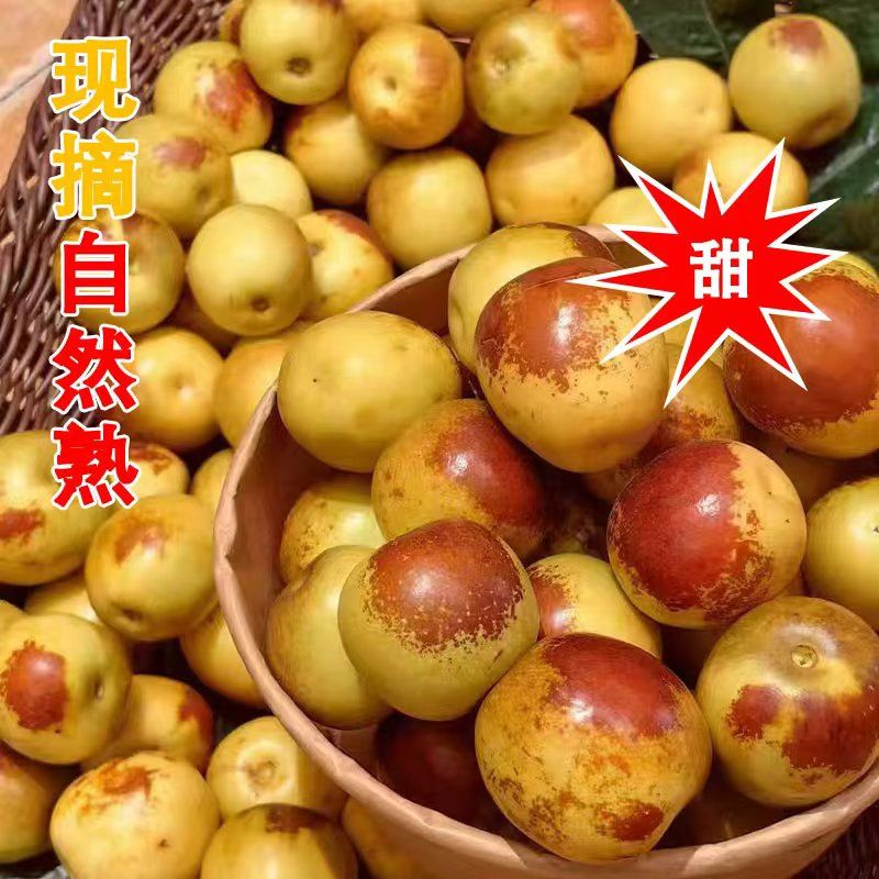 现货冬枣子孕妇水果新鲜现摘脆枣甜枣红枣大果儿童孕妇时令应季果