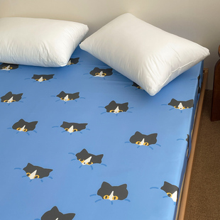 躲猫猫 1.8m单件鬼马风小猫 设计师手绘全棉60s长绒棉床单床笠1.5