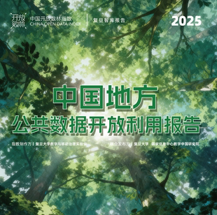 2025中国地方公共数据开放利用报告数林概貌指数亮叶评估方法
