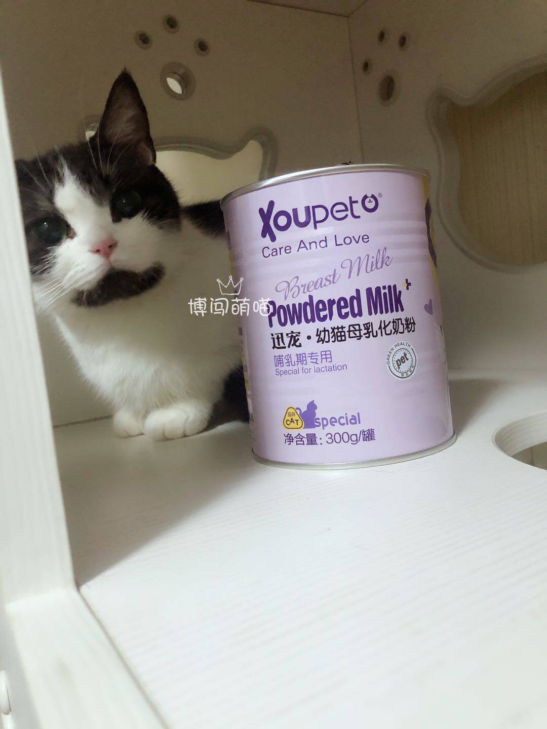 *博闯萌喵*迅宠母乳化宠物羊奶粉幼犬幼猫营养品羊奶粉