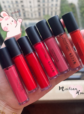 清仓！ 意大利wycon 哑光唇釉49 29口红唇膏吃土持久雾面不沾杯