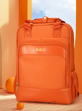 帝柏 防水大容量电脑背包BB06