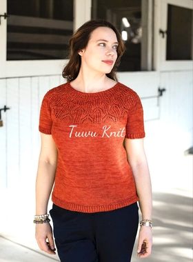 爱莲说 圆领镂空蕾丝短袖棒针编织中文图解文字说明