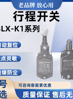 正泰电器 行程开关YBLX-K1/111 YBLX-K1/411/211/311/511/511M